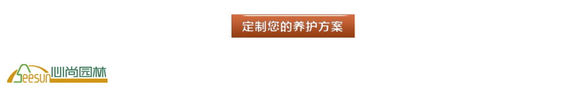 首页-UG环球视讯厅官方网站